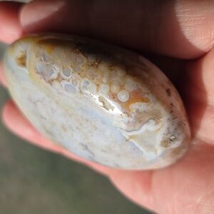 Ocean Jasper Palm Stone